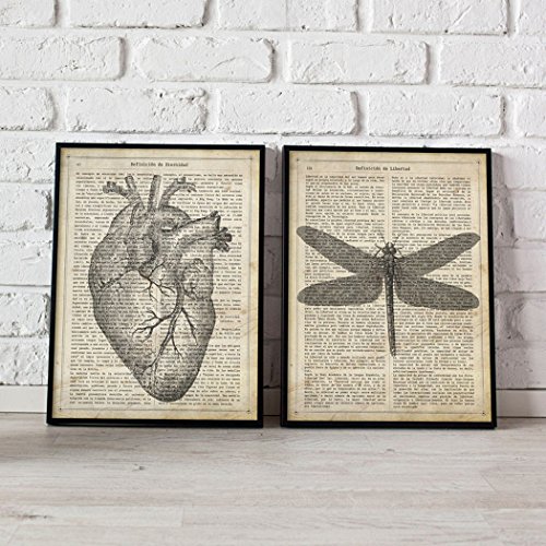 Nacnic set di 2 stampe artistiche con rappresentazione di una libellula su sfondo con carta di giornale con impressa la definizione in ligua spagnola di libertà e di un cuore