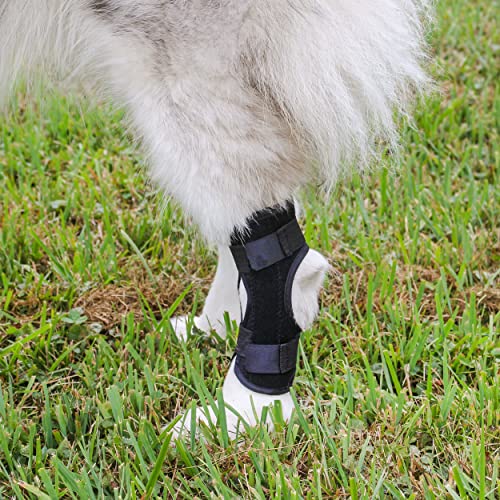 Image of MiMu Rear Dog Leg Brace - 2pk Canine Hock Brace for Small to Medium Sized Dogs - Recovery Dog Hind Leg Support Brace