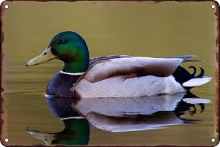 ASOULFAN Funny Mallard Ducks Animal Vintage Metal Tin Sign Retro for Home Living Room Man Cave Bedroom Garden Garage Wall Art Decor Gift 12x8 Inch