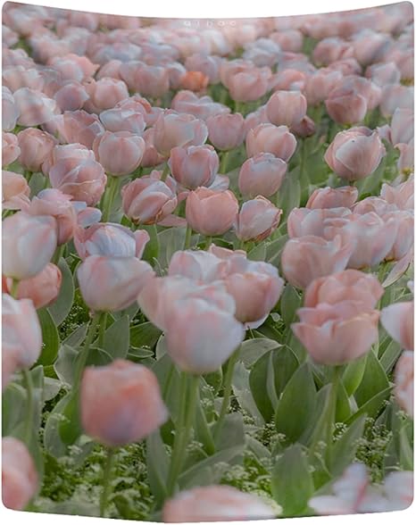 Amazon Co Jp タペストリー おしゃれ壁掛け 風景 大判 花柄 チューリップ 撮影用 73x95 背景 ボタニカル 太陽 光 インテリア カラー ファブリックポスター 洗える オシャレポスター 多機能壁飾り 気分転換 モダンなアート 新年祝い プレゼント ホーム キッチン