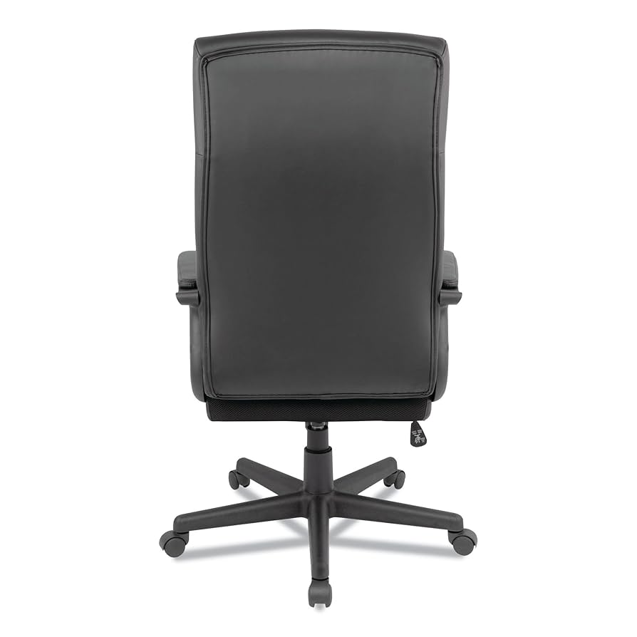 Amazon.com: Alera Alera Oxnam Series High-Back Task Chair