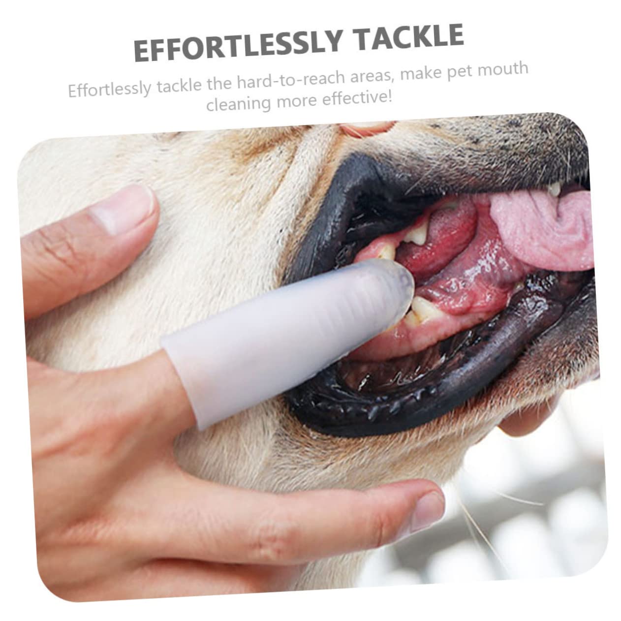 BESPORTBLE 3 Stücke Komfortable Hund Finger Pinsel Haustier Zahnbürste Pet Stift Für Katze Silikon Welpen Zahnbürste Mundpflege