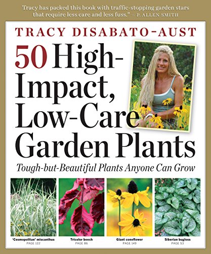 50 High-Impact Low-Care Garden Plants