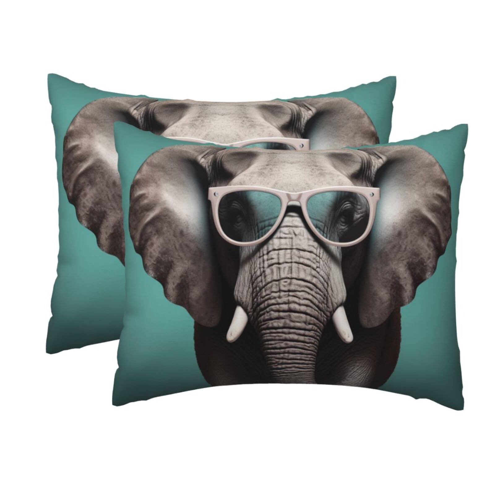 2 Pack Standard Size Pillow Cases for Hair and Skin Soft Breathable Pillow Case Covers with Hidden Zipper Elephant with Glasses Pillowcase 20x26 Inches Pillow Cover for Sleeping Gift