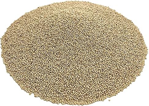 KAYSO INC Premium White Proso Millet Bird Seed Feed,10lbs Bulk Bag
