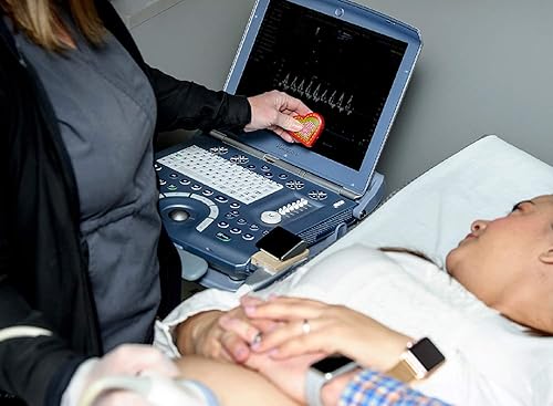 Miniatura 3 de Animales de peluche grabables My Baby Heartbeat Bear, con grabadora de sonido de corazón de 20 segundos, para ecografías y reproducción de mensajes