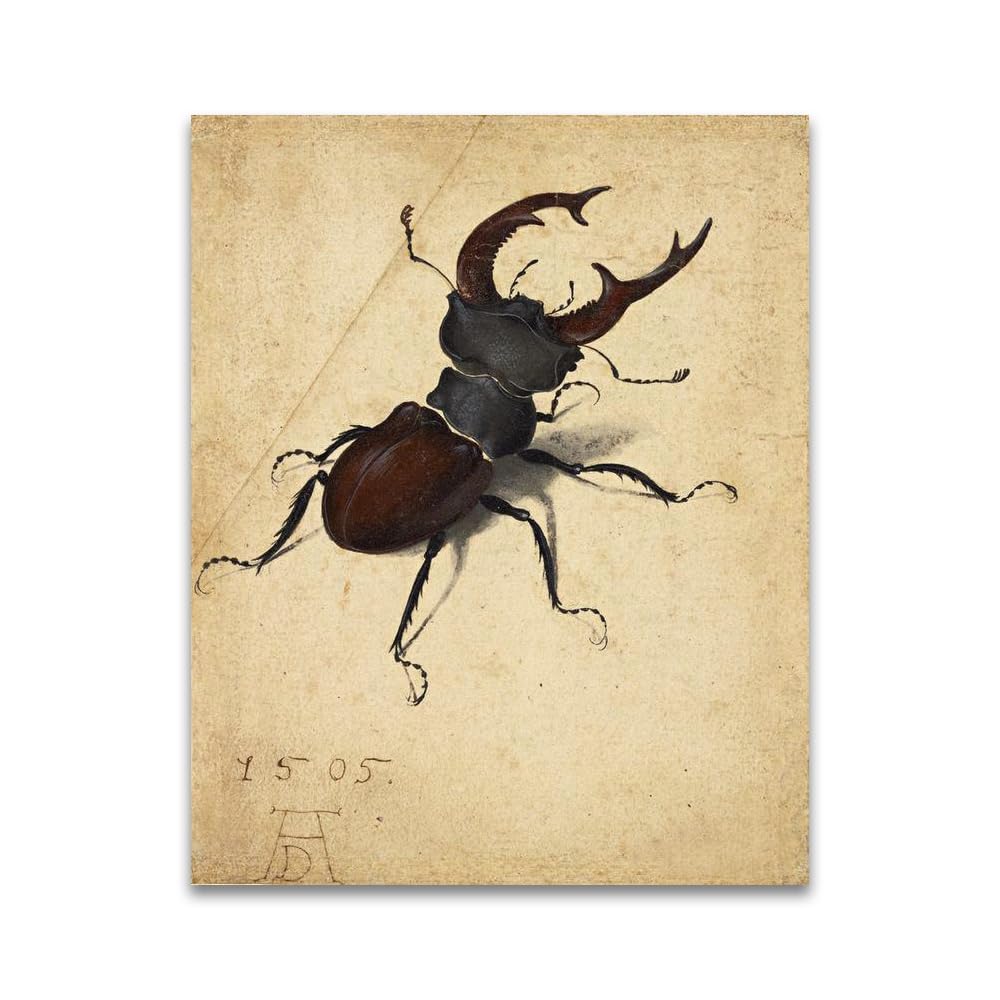 LZ6J8C9 Stag Beetle by Albrecht Dürer- Religious Art Print Poster on Canvas- Famous Painting Canvas Wall Art(60x70cm(23.7x27.5in)/Frameless)
