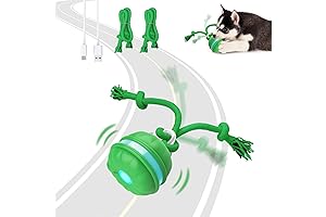 Wicked Ball: Interactive Dog Toy with Motion Activation and Automatic Rolling