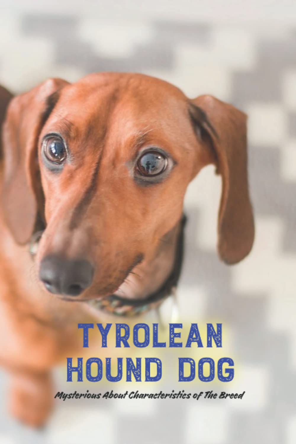 Tyrolean Hound Dog: Mysterious About Characteristics of The Breed: Helpful Tips to Train Tyrolean Hound Helpful Tips