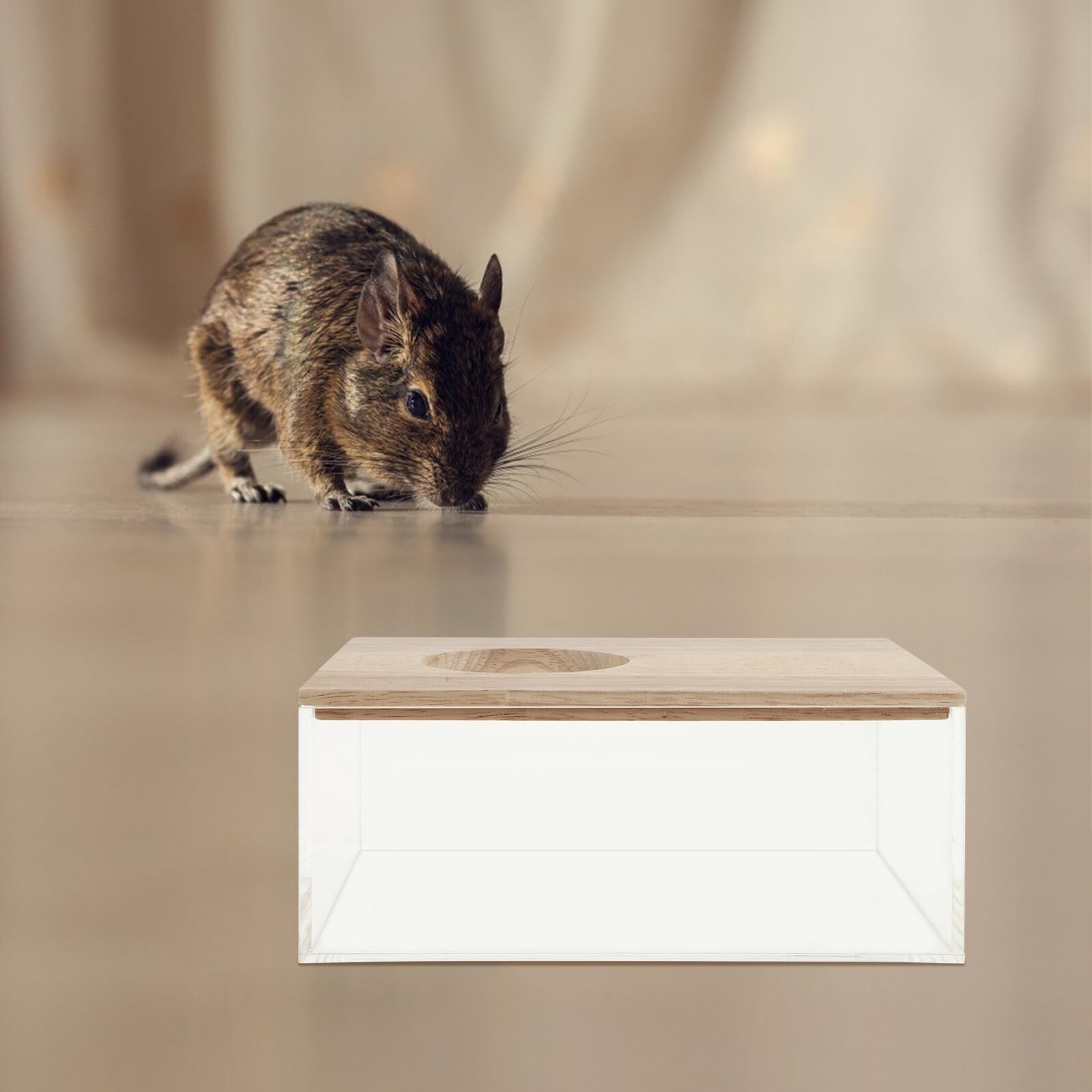 SHINEOFI Dekorative Hamsterbadewanne aus Acryl Transparente Sandbadewanne und Praktische Toilettenbox für Kleintiere Sandbad Behälter für Chinchillas und Hamster Haushalts Sandbad