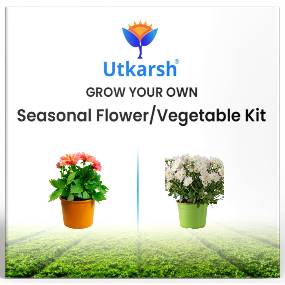 DIY Flower Growing Kit - Perfect Birthday Gift! -8 DIY Flower Growing Kit - Perfect Birthday Gift! -8