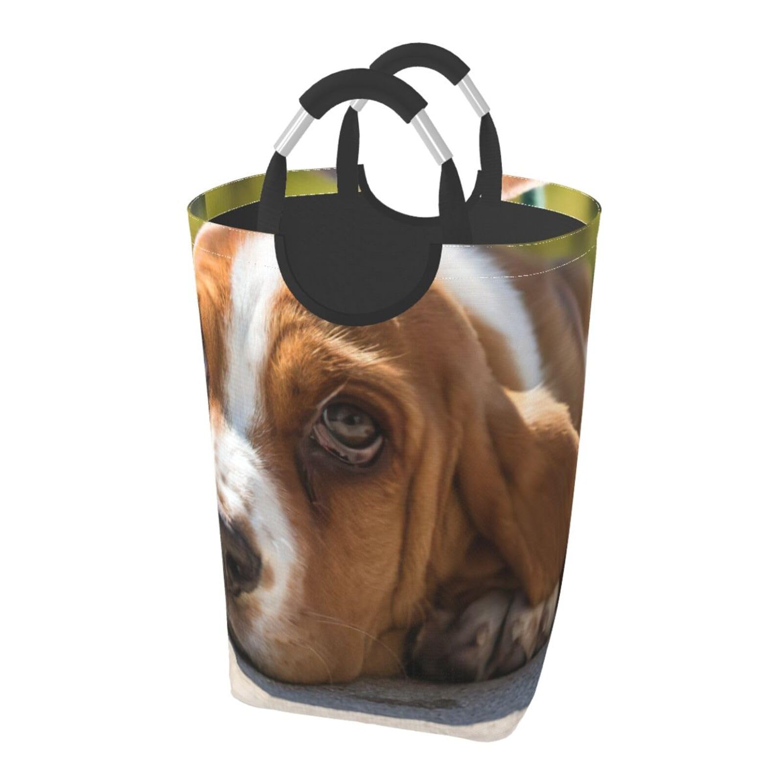 Panier à linge autoportant Basset Hound idéal pour optimiser un petit dortoir
