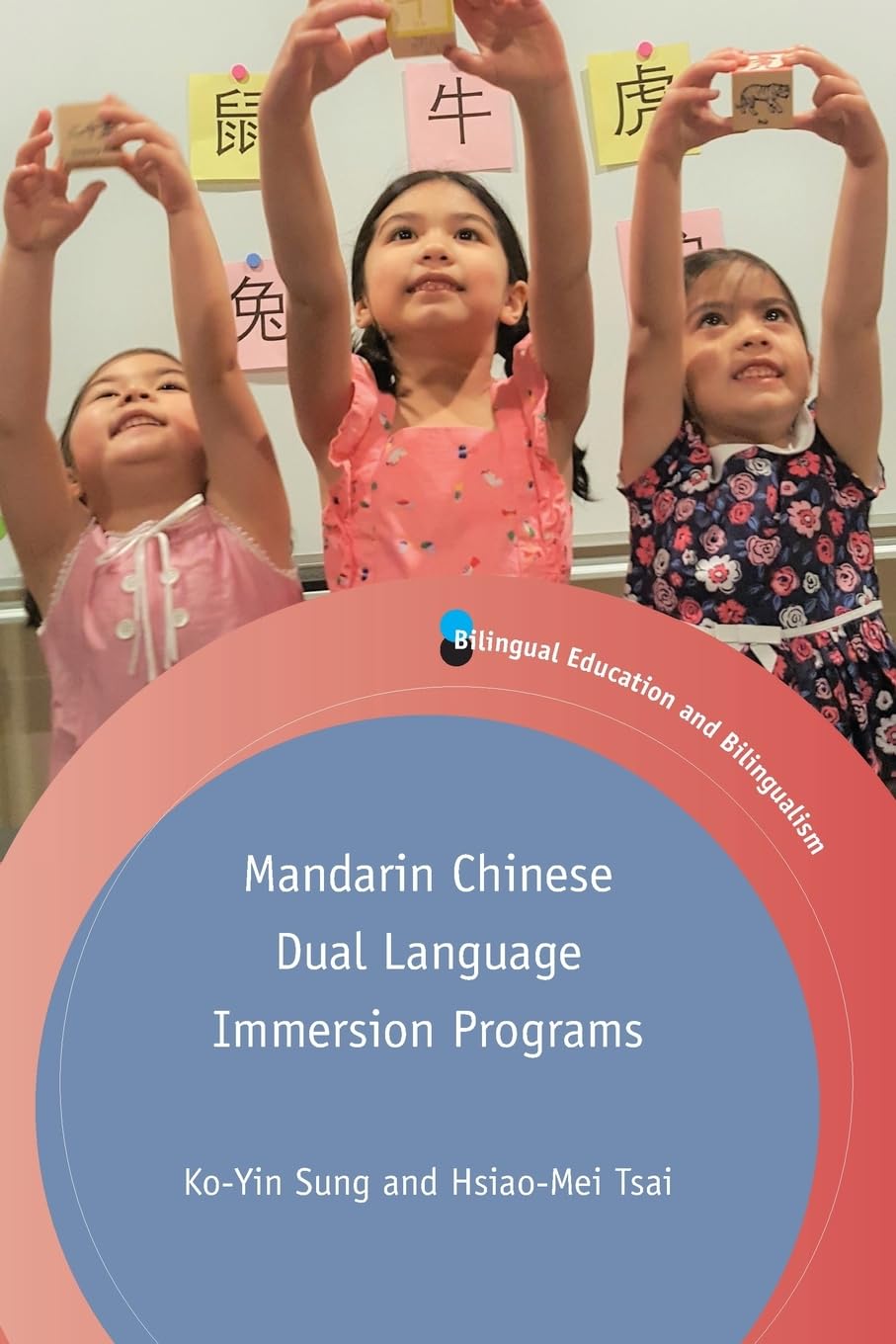 Mandarin Chinese Dual Language Immersion Programs: 119 (Bilingual Education & Bilingualism)