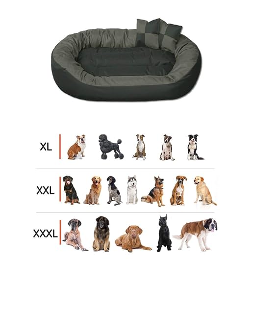 Foto 8 de 8 de BedDog® Sunny Beige XXXL Aprox. 150x120cm colchón para Perro, 13 Colores, Cama, sofá, Cesta para Perro