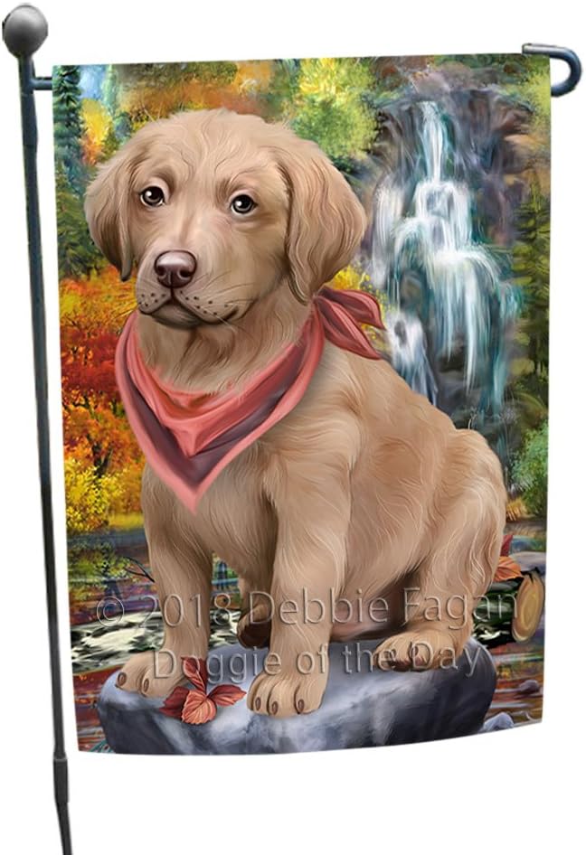 Doggie of the Day Scenic Waterfall Chesapeake Bay Retriever Dog Garden Flags- Outdoor Double Sided Garden Yard Porch Lawn Spring Decorative Vertical Home Flags 12 1/2"w x 18"h - GFLAG57228