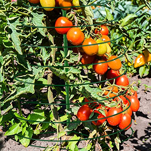 Spiral Stretchable Plant Support, Stainless Steel Vegetable Plant Supporter, Tomato Grow Plant Support Cages For Garden Balcony Yard Veggie Vine Plants Growing Climbing #TOP5