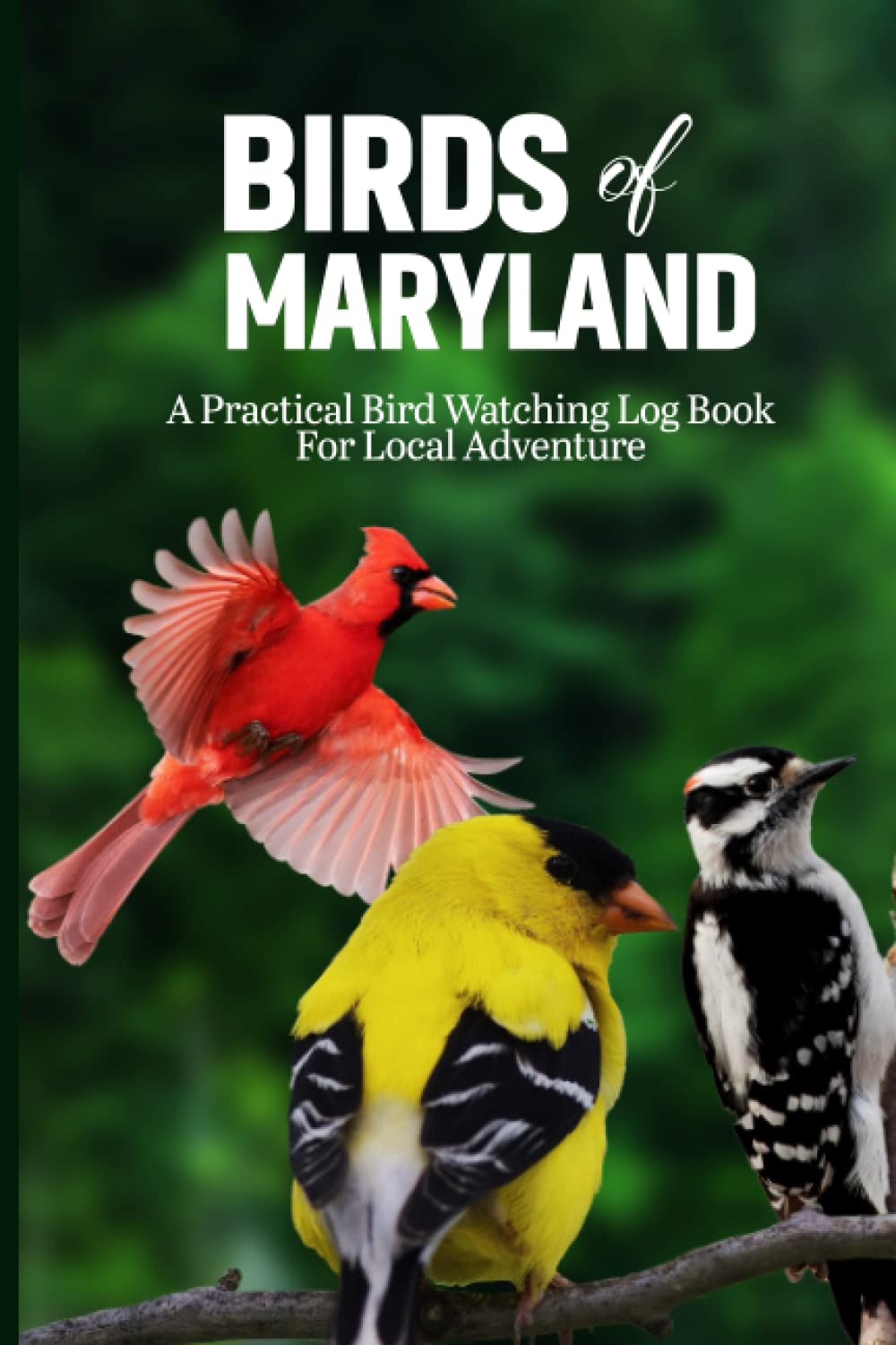 Birds Of Maryland: Bird Watching Logbook For Bird Watchers And Birders. Track Bird Sightings And Life List In This Beautiful Notebook Journal. Simple ... Incredible Adventures For Adults & Kids.