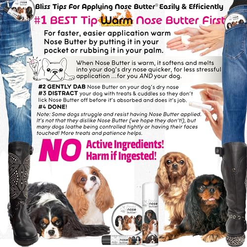 Image of The Blissful Dog Cavalier King Charles Spaniel Unscented Nose Butter - Dog Nose Butter, 4 Ounce
