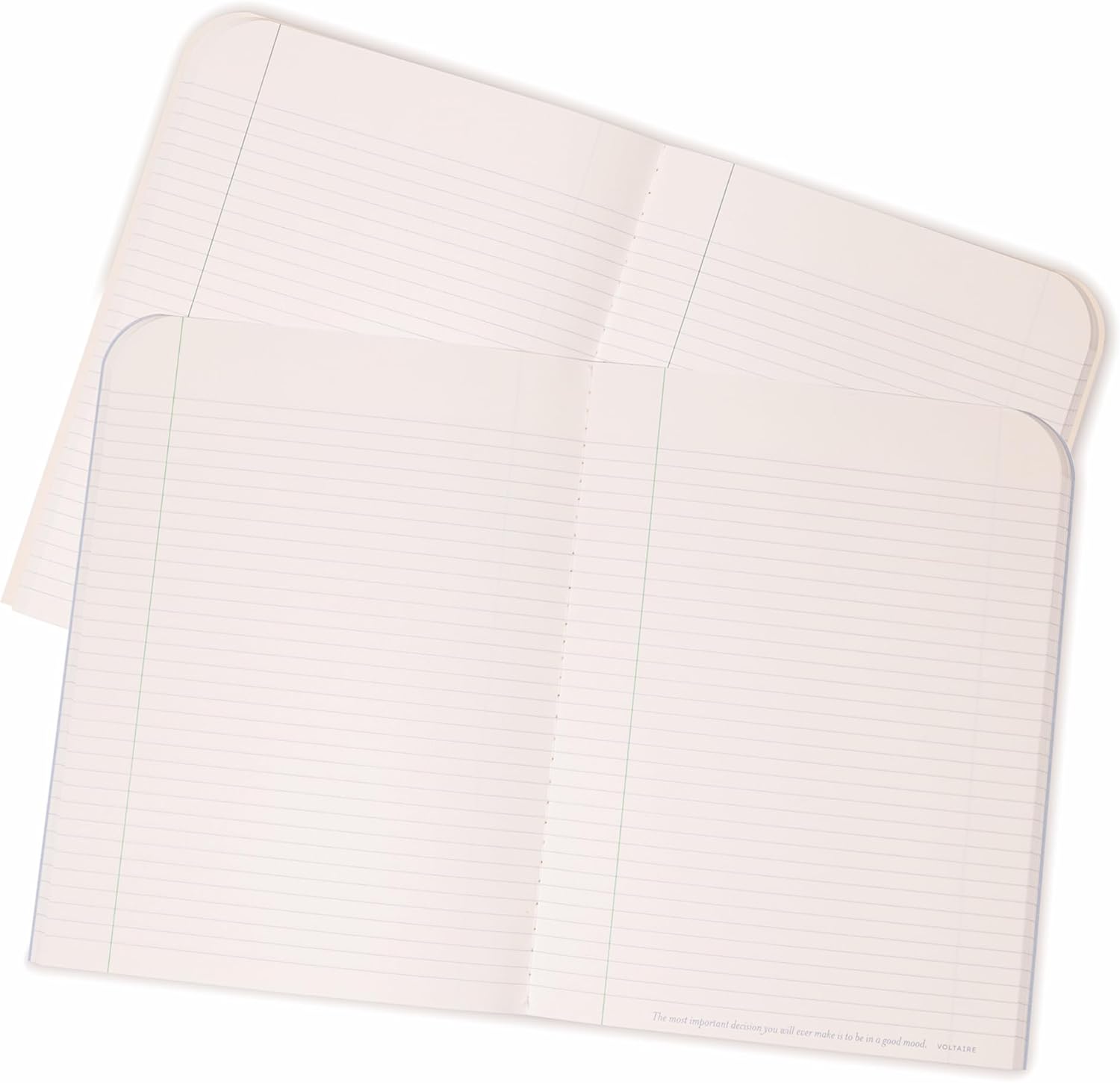 AMÉLIN ARCHIVE Set of 2 Composition Notebooks 9.75" x 7.6" with 100 Lined Pages (Chimie Des Fleurs/Arp)