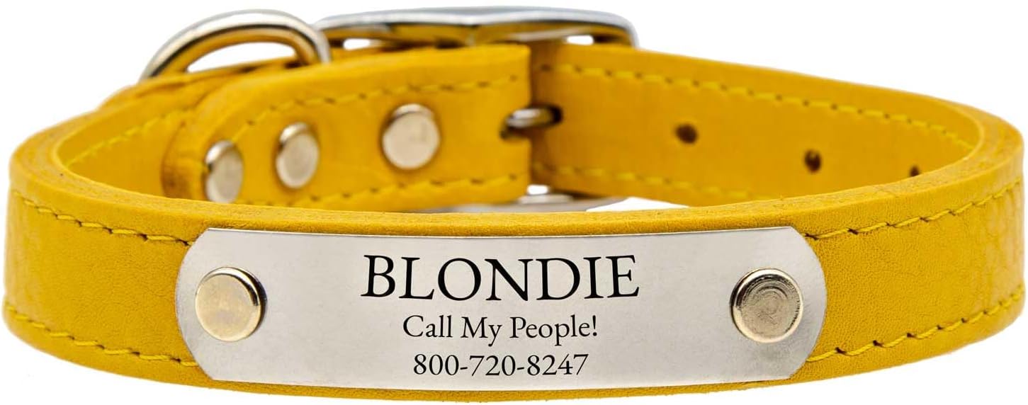 dogIDs Personalized Soft Designer Leather Dog Collar - Adjustable, Odor Resistant, Built-in Custom Laser Engraved Rivet on Name Plate - Flamingo Pink - 1 in Wide x 17 in Neck