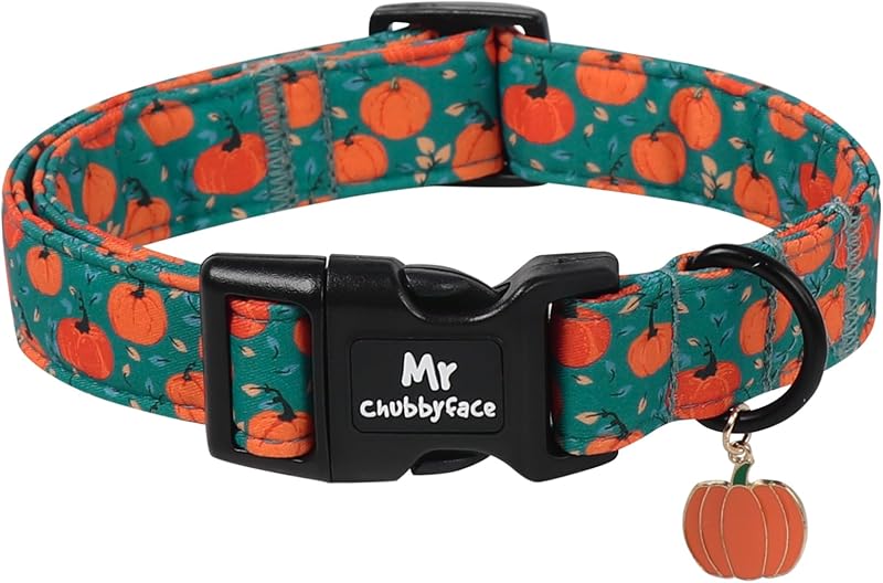 Coleira para Cães MR.CHUBBYFACE Verde com Estampa de Abóbora, Ajustável, XL