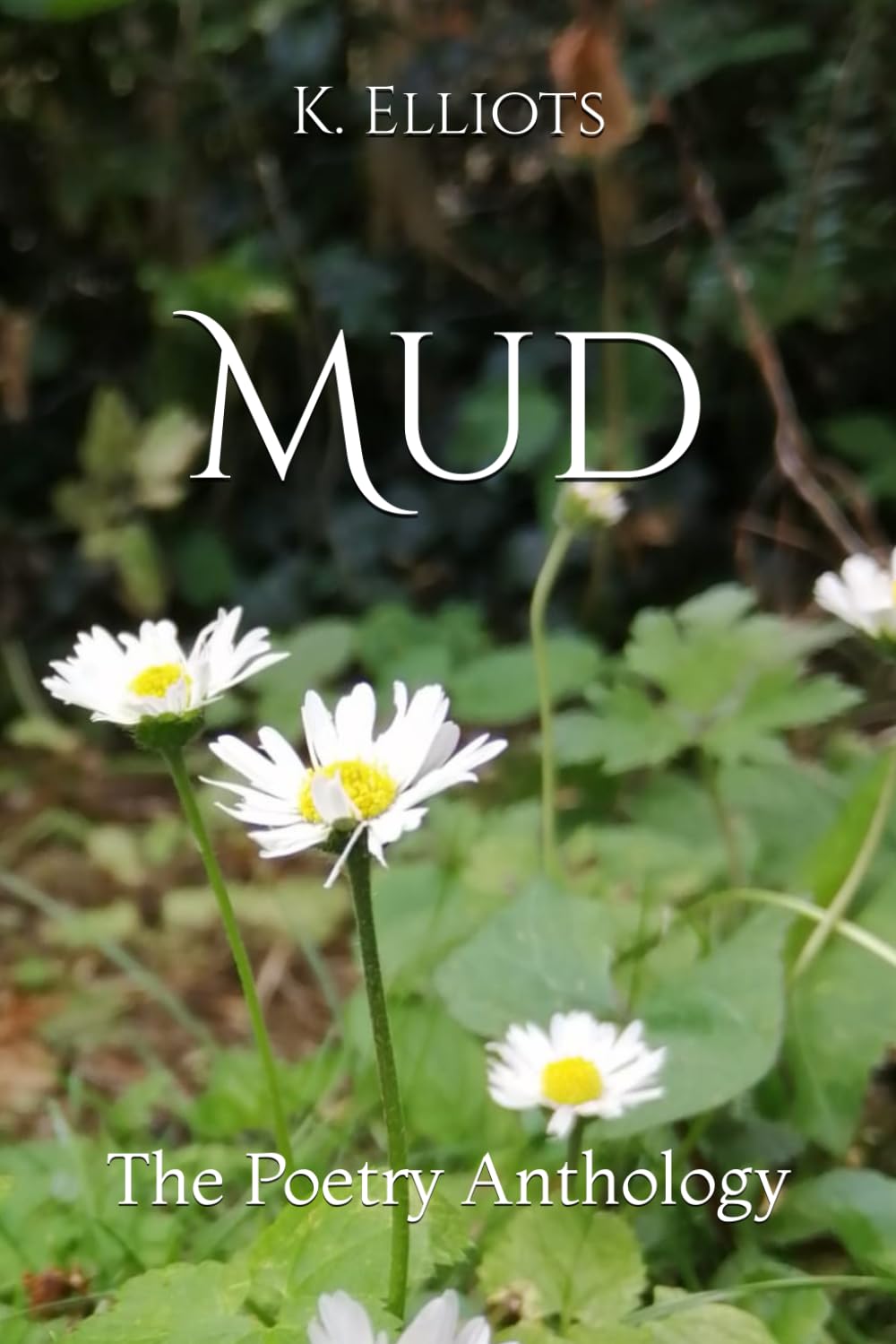 Mud: The Poetry Anthology