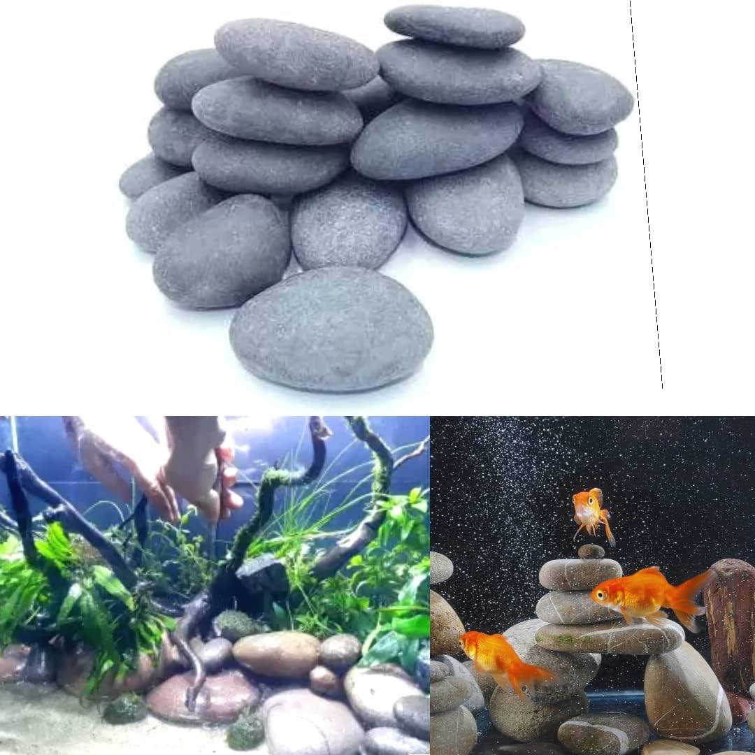 VAYINATO® Aquarium Stones for Fish Tank, 3kg - Natural River Pebbles for Home, Garden Landscaping, Vase Fillers, Wash Basin - Decorative Rock Decoration by Petzlifeworld (B0B8SFT8RC) Amazon Price History, Amazon Price Tracker
