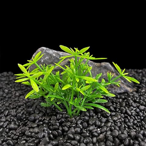 sixia Fish Tank Decorations (10 Packs) Cover