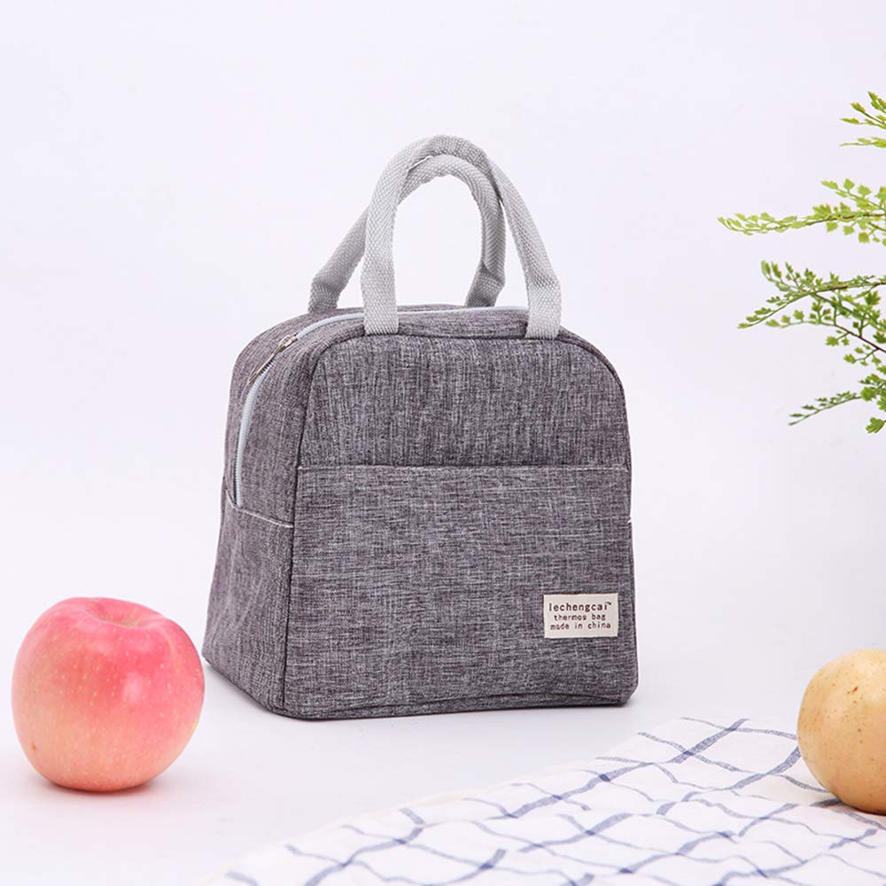 Axgo Tote Lunch Bag for Unisex Insulated Container for Home Office Picnic, Grey