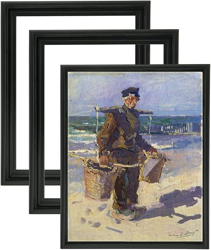 Cardinali Renewal Core Floater Frames - 3 Pack of 3/4" Deep Frames for Canvas, Artwork, Paintings, & More! - [Black - 8x24"]
