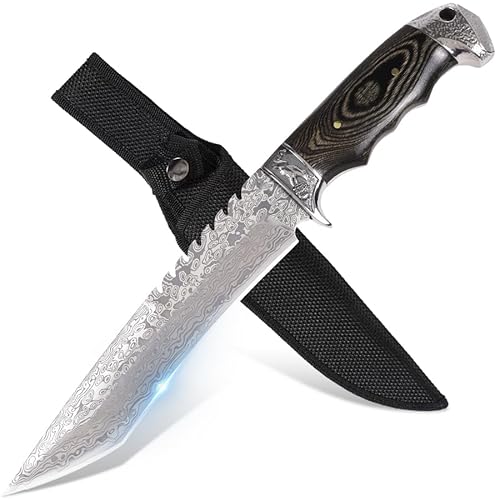 GER-SABER Couteau Outdoo 31cm – Lame Straight-Back avec Dos Dentelé et Motif Damas, Garde et Contrepoids Décorés, Poignée en Bois de Poule Exotique, Compagnon Mystérieux pour la Survie