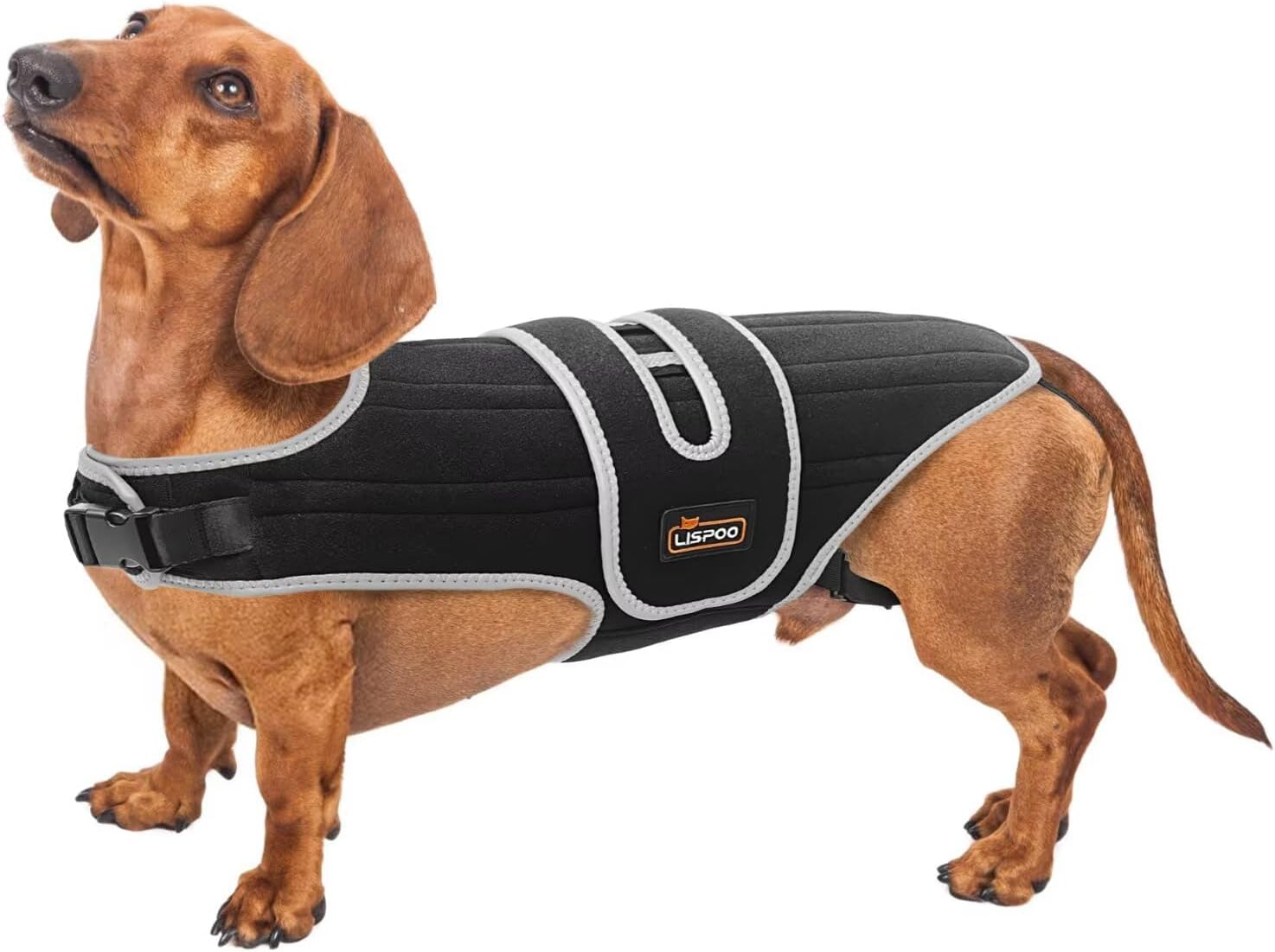 IVDD Dog Back Brace for Dachshunds & Slipped Disc | Post-Surgery Support & Arthritis Relief | Vet-Recommended Dog Back Brace | Breathable with Support Rods & Straps, Size S