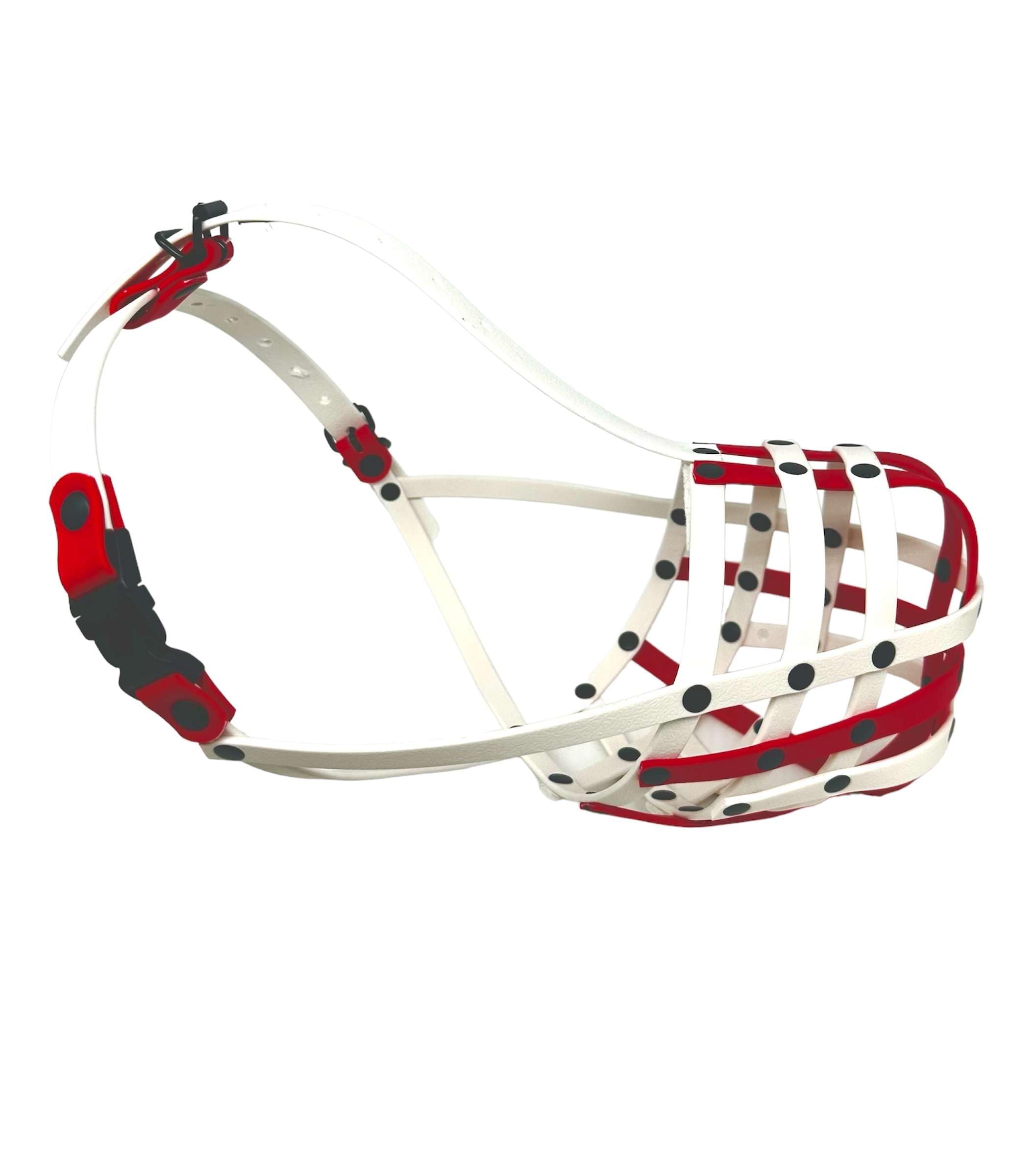 View 3