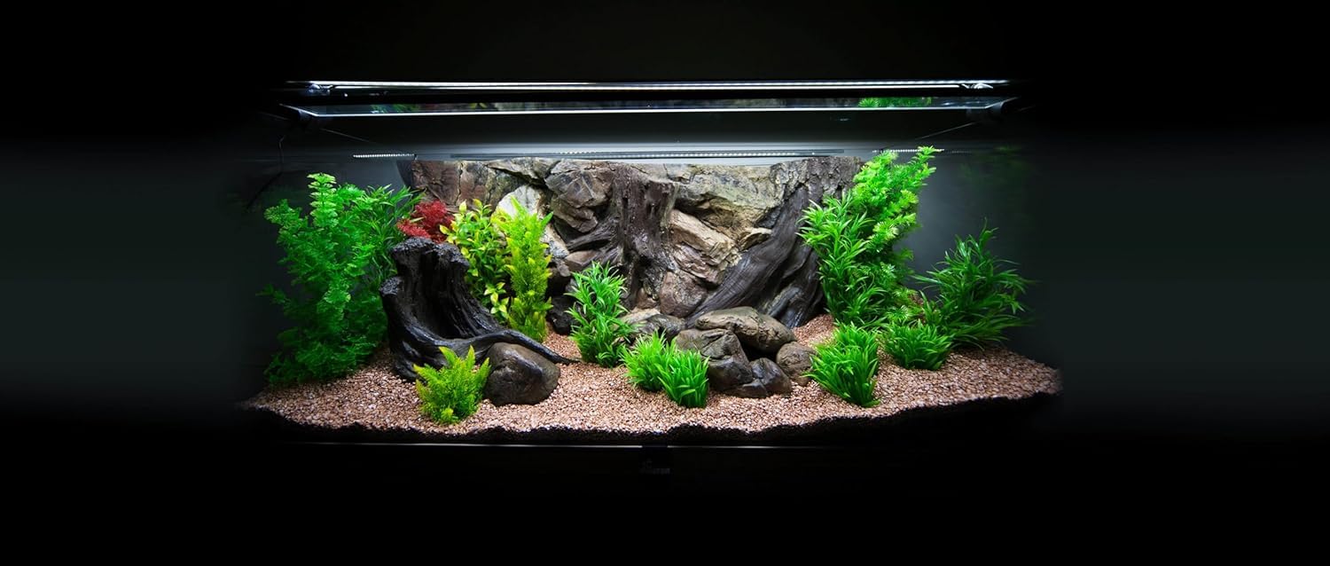View 3