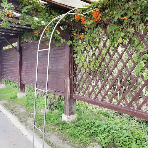 Arche de jardin en acier inoxydable, demi-arc, arches tubulaires d'extérieur pour plantes grimpantes (l 1 x H 2,4 m) – Décoration de paysage