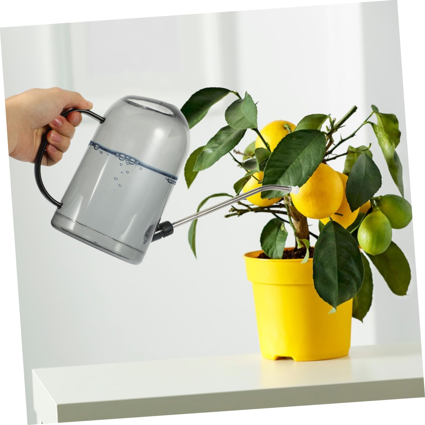 Annaffiatoio da Giardino 2l in Abs e Acciaio Inox Beccuccio