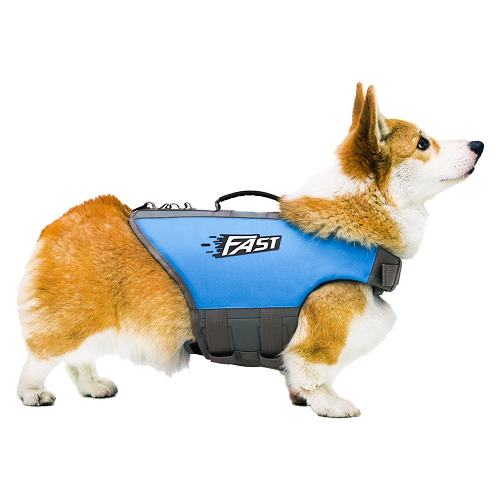 Chaleco de flotación para perros para natación, cinturón ajustable, alta visibilidad, para perros pequeños, medianos, actividades al aire libre, vida reflectante para nadar