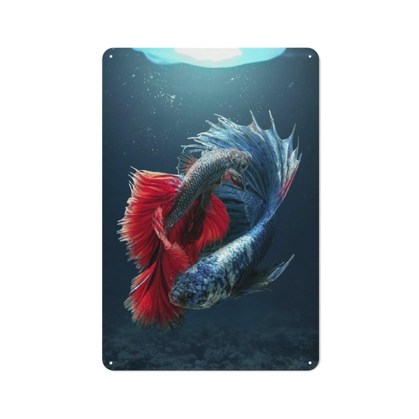 Junmoney Betta Meets Jellyfish Metal Plaque 30X20cm With For Garage Wall, Retro Decor, For Garage Decor Collectors Refreshing A Room In Autumn