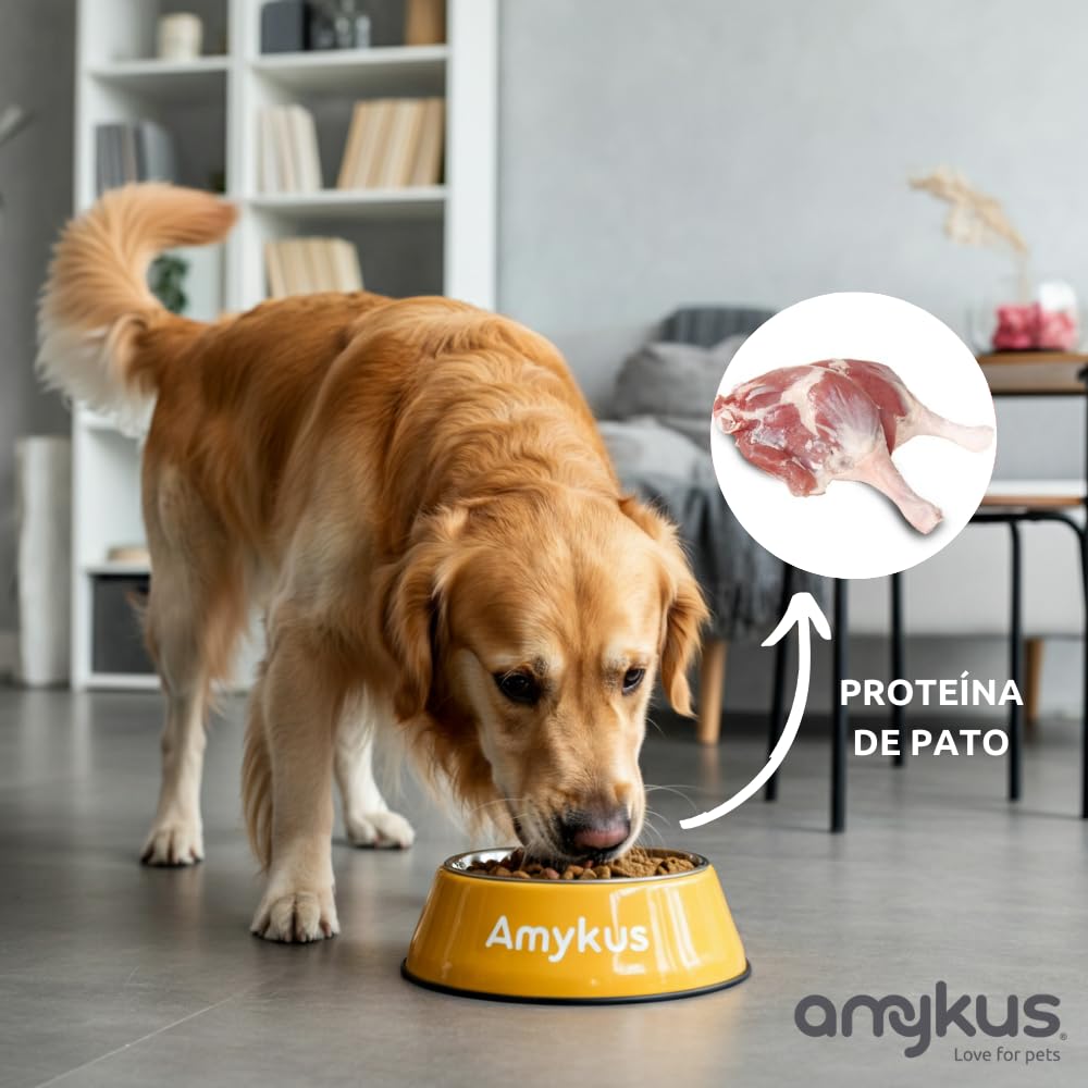 Hypoallergenic Grain Free Turkey & Duck 8 kg | Sin Cereales | Control de Peso | Sensibilidad Alimentaria | Adultos y Senior (+7) | Pavo y Pato