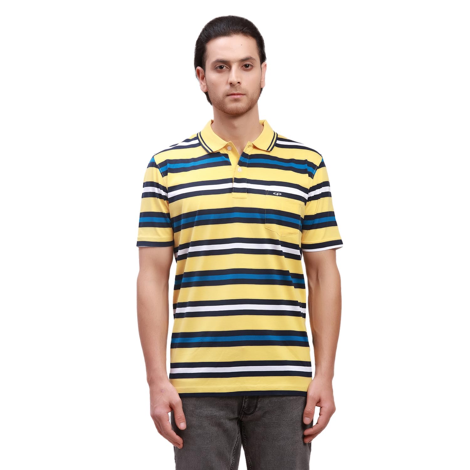 Colorplus Men's Classic Fit Pure Cotton Stripe Pattern Polo Neck Half Sleeve Casual T-Shirt - Review, Price and Buying Guide