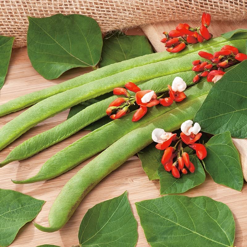 RHS Runner Bean St. George Vegetable Seeds