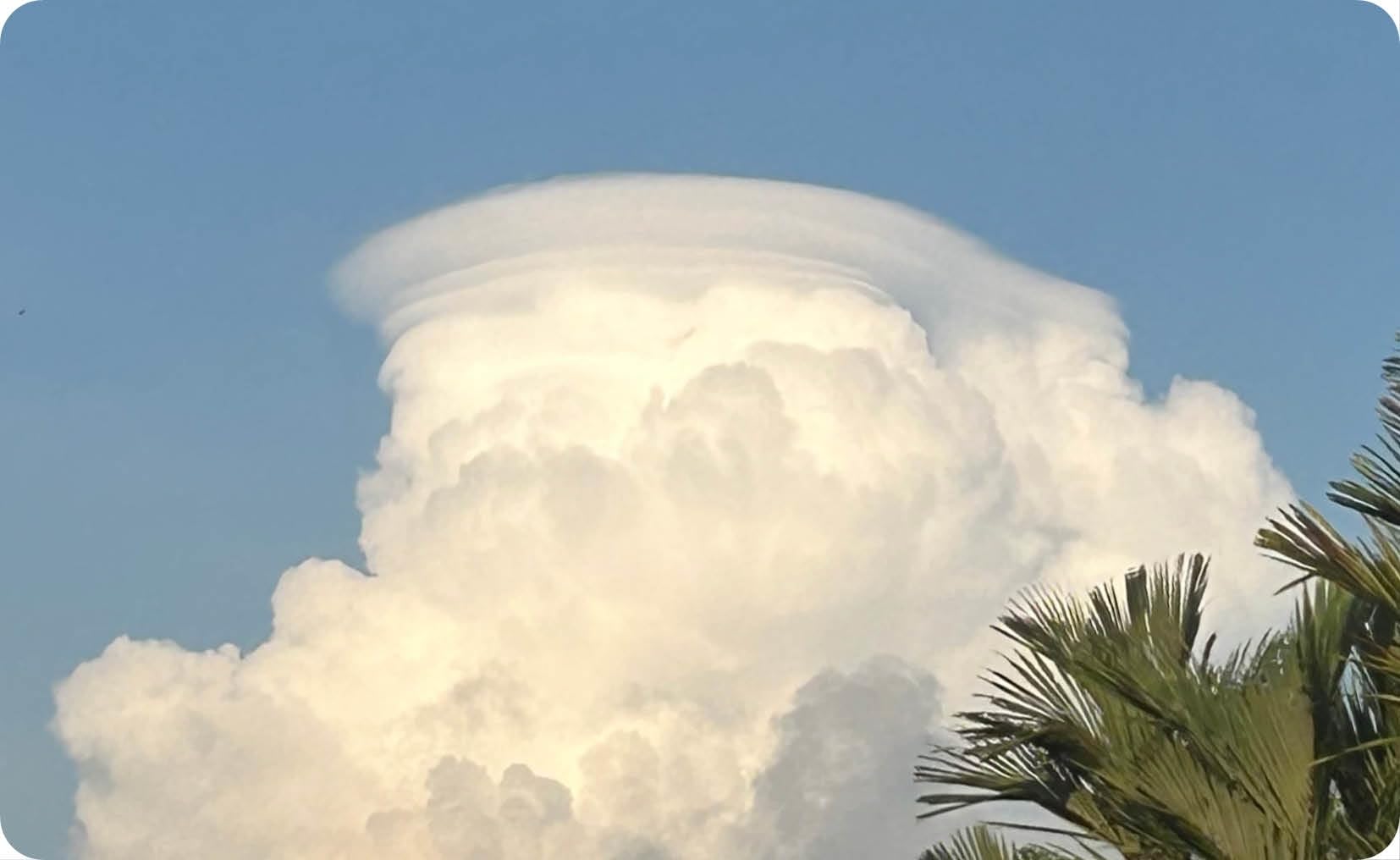 The Cloud Deck: 50 Cloud-Spotting Cards to Understand the Skies