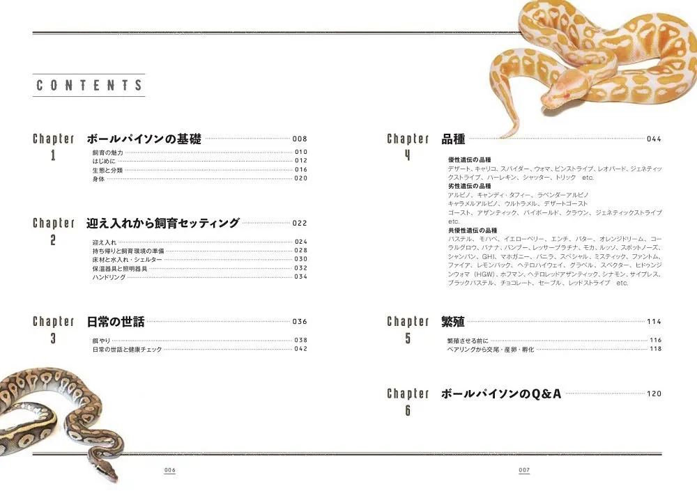 ボールパイソンの教科書 (飼育の教科書シリーズ) | 長友 瑞生