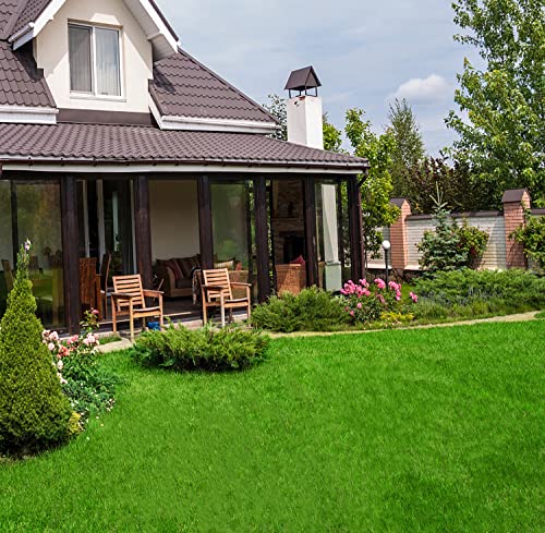 Freadem Artificial Grass For Pet Dogs 8' X 50', Thick Synthetic Fake Grass Turf With Drain Holes, Indoor Outdoor Lawn Landscape For Gym Patio Balcony Playground Backyard, Height 1.38 Inch, Customized #TOP7