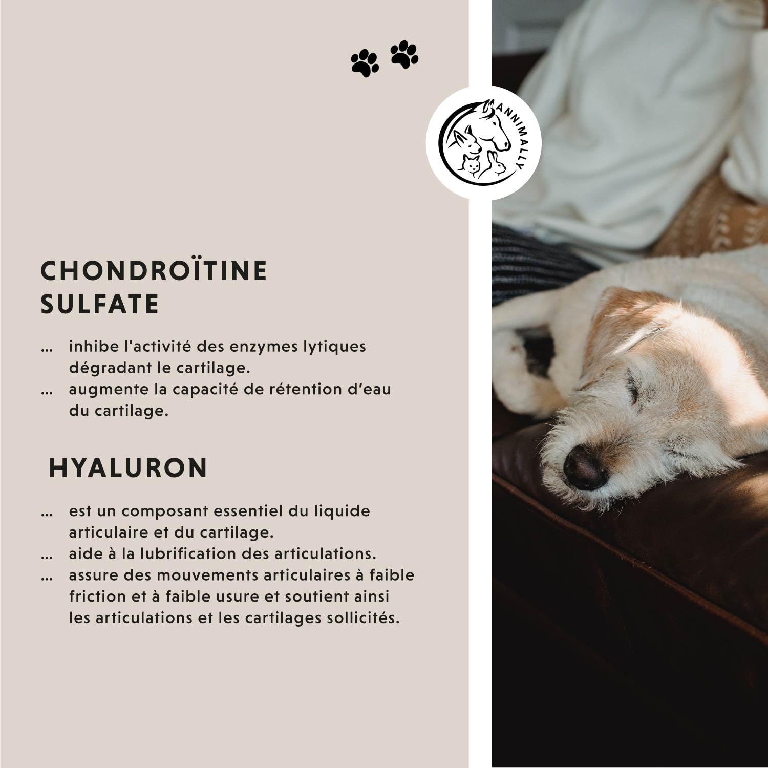 Complément Articulation pour Chien - Anti arthrose Chien Senior - avec glucosamine chondroïtine Chien - 120 comprimés pour Articulation - Anti inflammatoire Chien