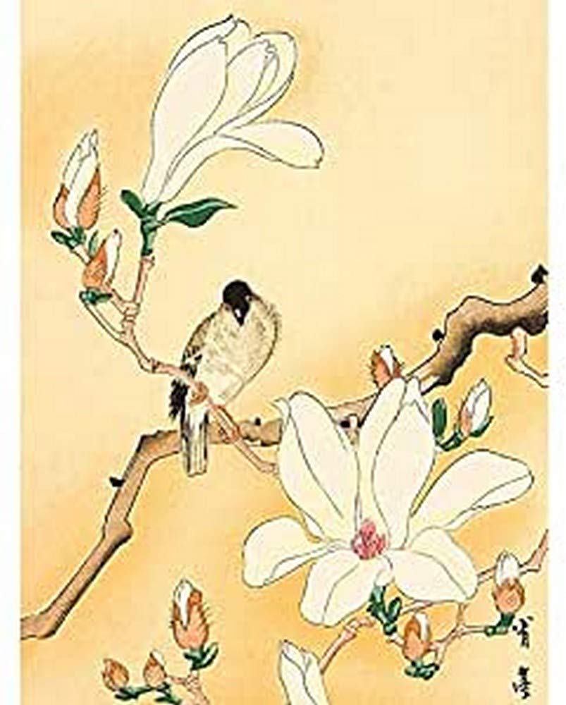 Seitei Bird Magnolia Branch Japanese Painting Unframed Wall Art Print Poster Home Decor Premium