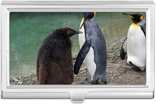 Sea Cold Antarctic Penguin Science Nature Picture Business Card Holder Case Pocket Box Wallet