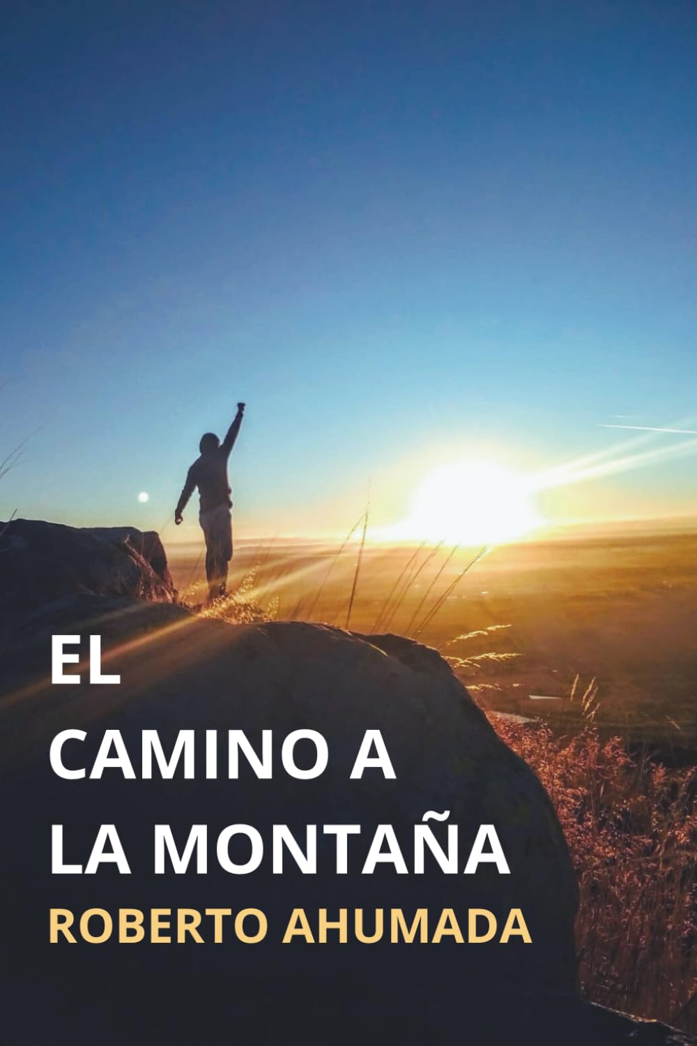 El camino a la montaña. Diario de un despertar
