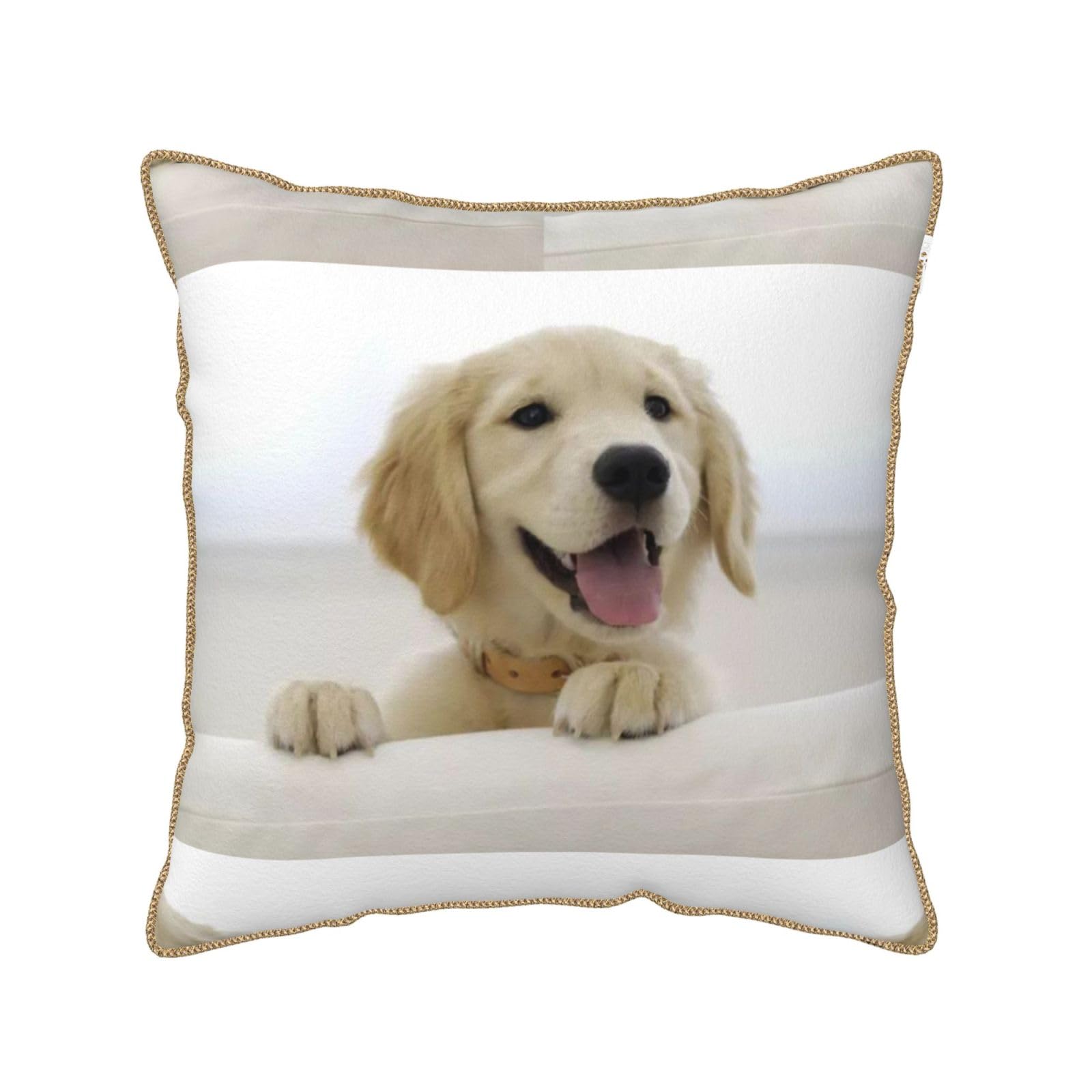 Housse de coussin Golden Retriever velours pour remplacer une taie usée avec douceur