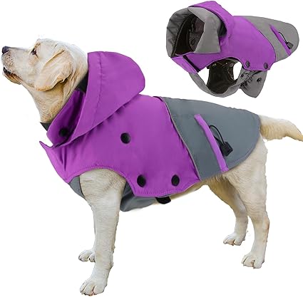 dog winter jacket amazon